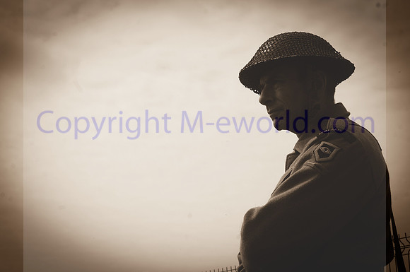 skylark15052412