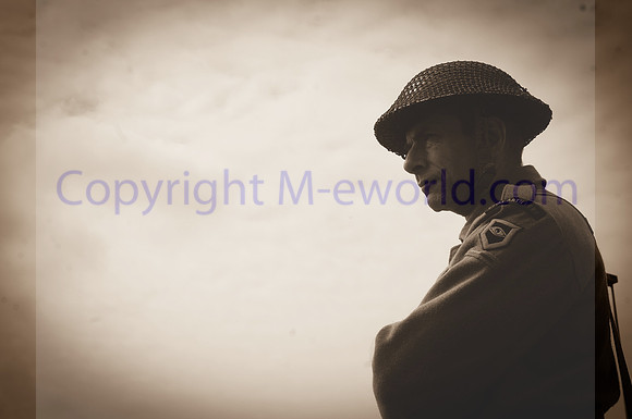 skylark150524151